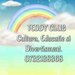 Teddy Club - Club educational, After school